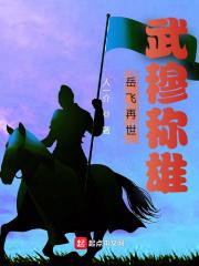 岳飛再世，武穆稱雄